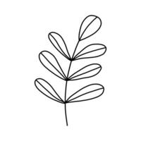 Leaves and twigs on an isolated white background vector