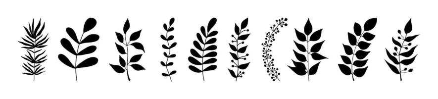 Leaves and twigs on an isolated white background vector