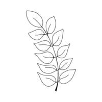 Leaves and twigs on an isolated white background vector