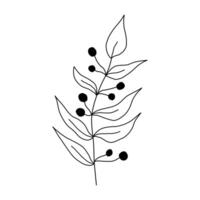 Leaves and twigs on an isolated white background vector