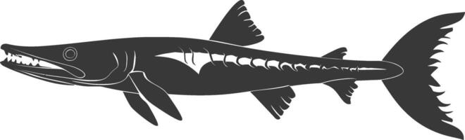 Silhouette Barracuda animal black color only vector