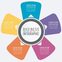 Infographic design 5 steps or options business information colorful template vector