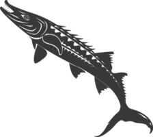 silueta barracuda animal negro color solamente vector