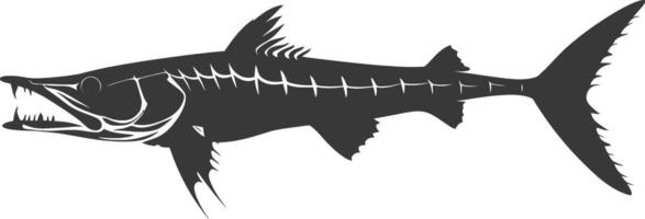 Silhouette Barracuda animal black color only vector