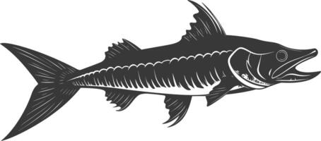 Silhouette Barracuda animal black color only vector