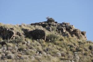 mountain views in the almanzora valley photo