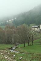 beautiful nature in the mountains of france photo