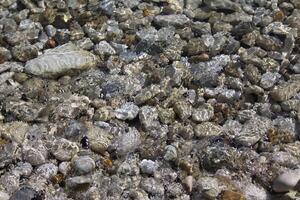 pebbles on the beach photo