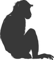 Silhouette Proboscis monkey animal black color only vector