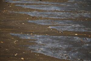 amazing, never seen it before, ice on the salt water and sand, beach, north sea,winter in the netherlands photo