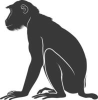 Silhouette Proboscis monkey animal black color only vector