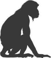 Silhouette Proboscis monkey animal black color only vector