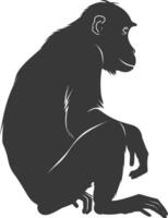 Silhouette Proboscis monkey animal black color only vector