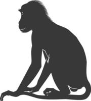 Silhouette Proboscis monkey animal black color only vector