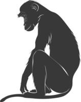 Silhouette Proboscis monkey animal black color only vector