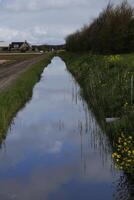 reflexión en el canal, países bajos foto