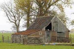 Dutch landscape in the spring, old barn photo