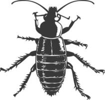 Silhouette termite animal black color only vector