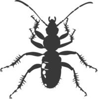 Silhouette termite animal black color only vector