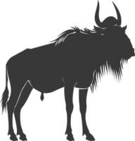 Silhouette Wildebeest animal black color only vector