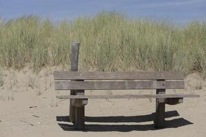 bench to sit and listen to the sounds of the sea photo