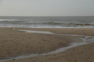 low tide, beach in the winter, netherlands photo