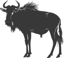 Silhouette Wildebeest animal black color only vector