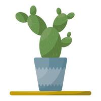 cactus en un maceta, interior planta en un blanco fondo, plano ilustración vector