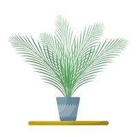 Palm tree on a pot, houseplant on a white background, flat illustration vector