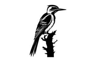 pájaro carpintero negro silueta clipart, un flameback pájaro carpintero pájaro silueta vector