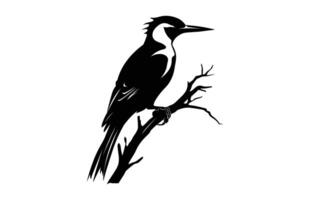 pájaro carpintero negro silueta clipart, un flameback pájaro carpintero pájaro silueta vector