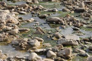 quinielas de agua dónde allí estaba un río foto