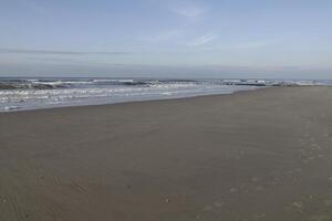 breakwaters with seagulls photo