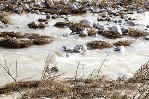 slow shutterspeed at the almanzora river, the river flows photo