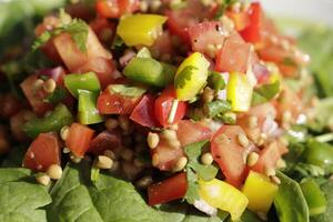 spinach salad with lentils, tomato, pepper, coriander photo