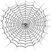 spider web black color only vector