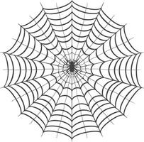 spider web black color only vector