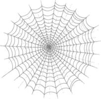 spider web black color only vector
