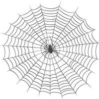 spider web black color only vector