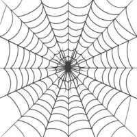 spider web black color only vector