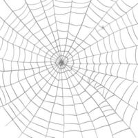 spider web black color only vector