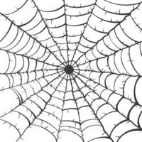 spider web black color only vector