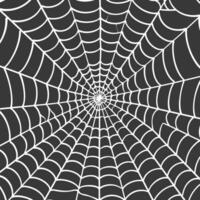 spider web black color only vector