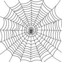 spider web black color only vector