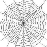 araña web negro color solamente vector