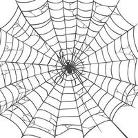 spider web black color only vector