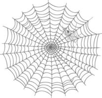 spider web black color only vector