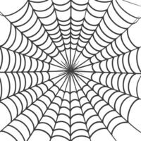spider web black color only vector