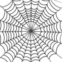 araña web negro color solamente vector