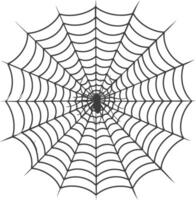 araña web negro color solamente vector